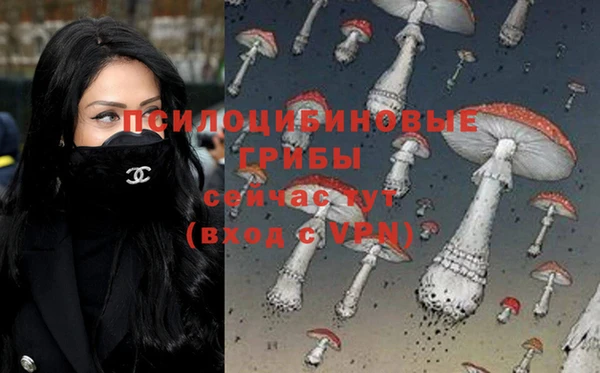 MDMA Premium VHQ Гусиноозёрск
