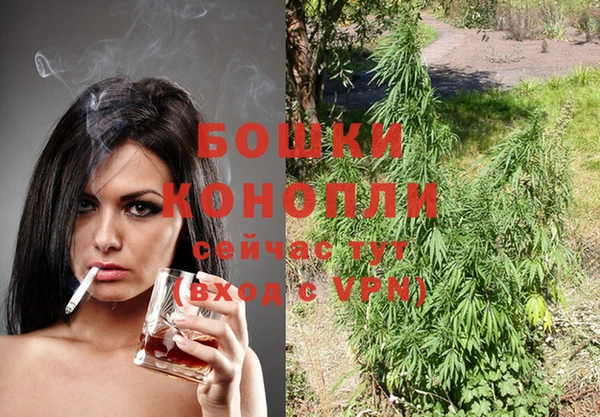 индика Дмитров