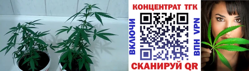 Купить где  Ува  Дистиллят ТГК THC oil 